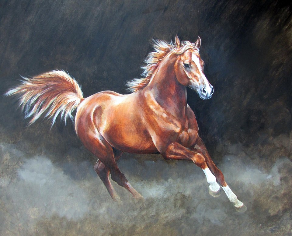 A STUDY OF A CHESTNUT ARABIAN @Caroline Cook